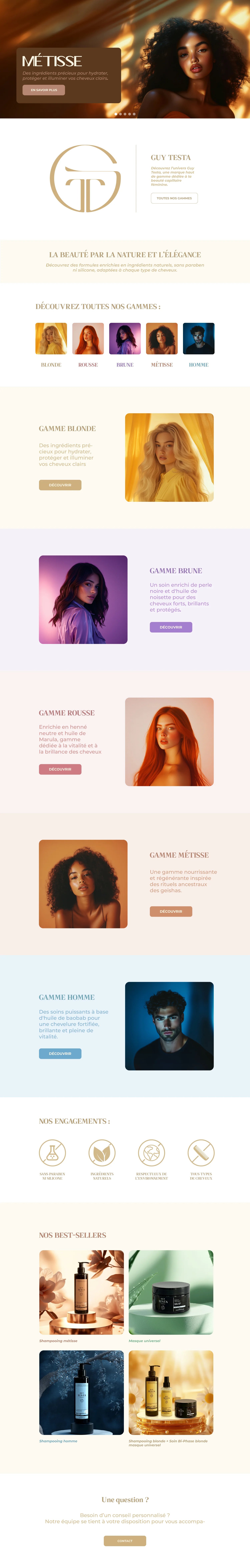 Page du site Guy Testa, défilement